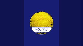 保守系大演説会! 林千勝 石田和靖 深田萌絵等 厚生生労働省前 デモ