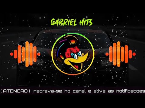 ATIVEI O LADO SELVAGEM - O TUBARÃO🦈 2022 - (COM GRAVE) - PARA PAREDÃO | Gabriel Hits Br