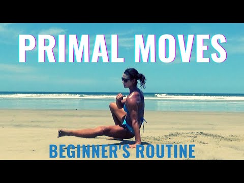 A 5-minute Primal Moves Routine - Beginner Friendly Exercises