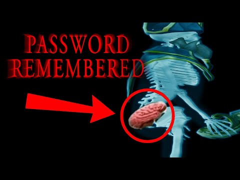 I REMEMBERED THE PASSWORD 🔑