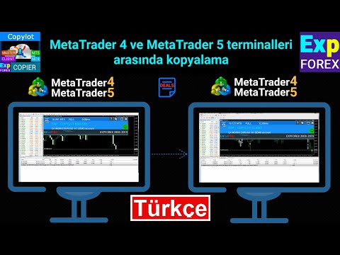 Video Exp COPYLOT CLIENT for MT5