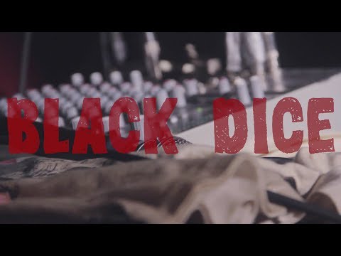 Black Dice Live at Hassle Fest 2013