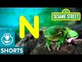 Sesame Street N Is For Nature