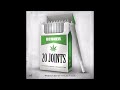 Berner 20 Joints