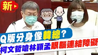 [討論] 林穎孟怎麼從政治新星崩成跳樑小丑的？