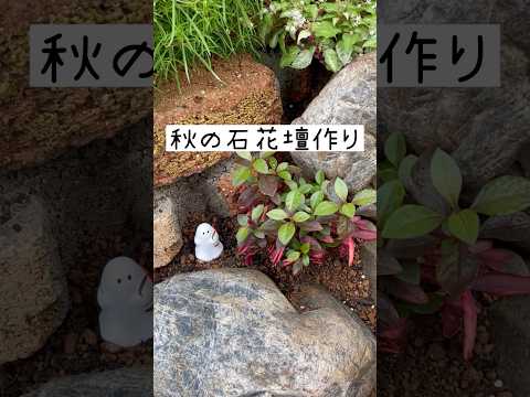  「木の周りに花壇を作るには？」プロジェクトを実行するために知っておくべきルールは何ですか？ »  庭園