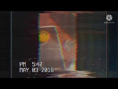 VHS tape: floppa discovers the use of computers