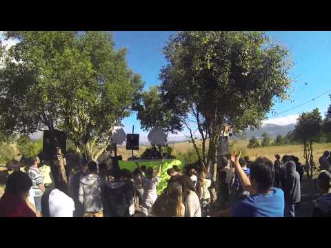 Guapa lee @ Magic Freequency -  3