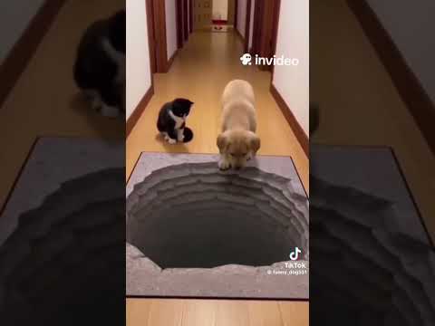 ПОДПИСЫВЙСЯ👌😉