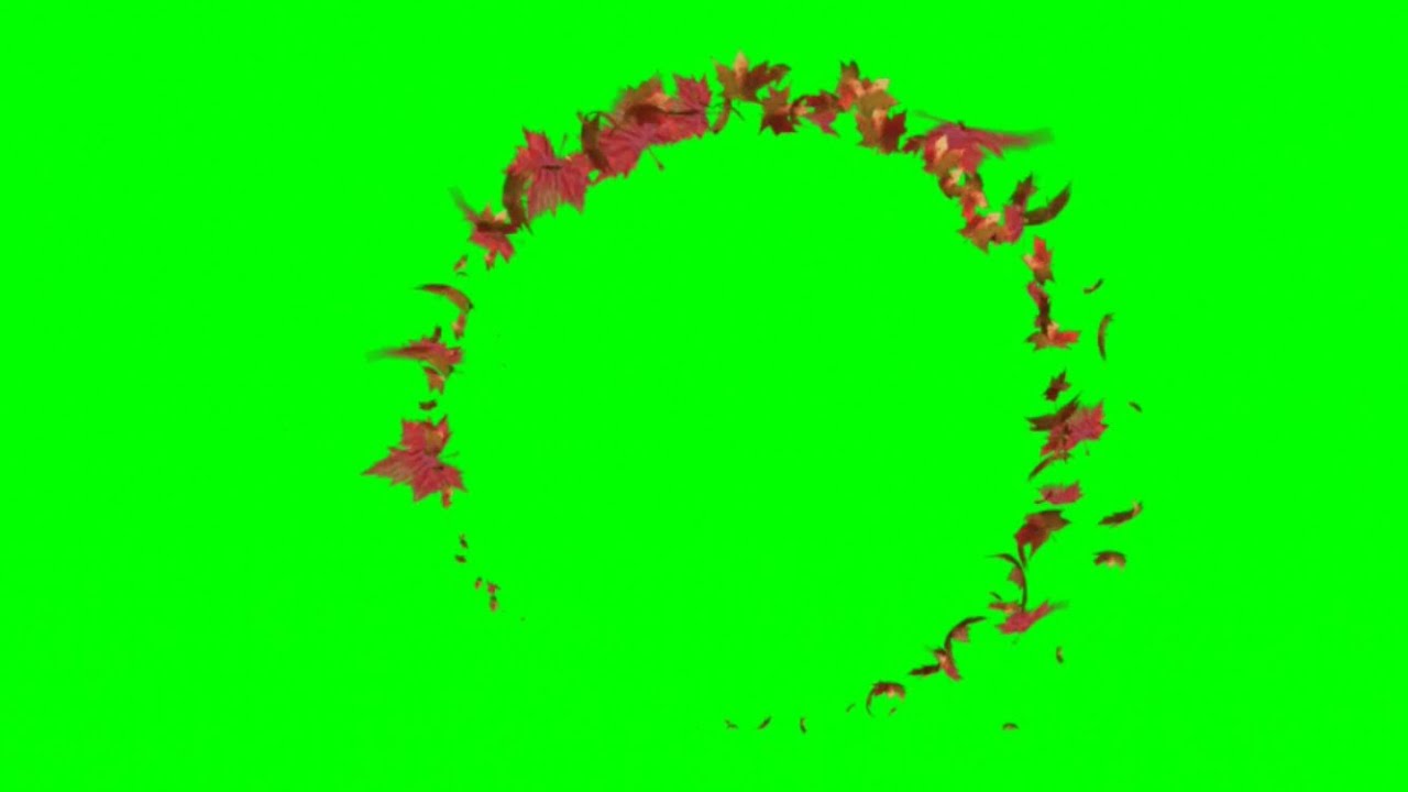 Green Screen Fall Leaves Effects