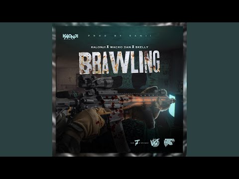 Brawling (feat. Skelly 12k & Wacko Dan)