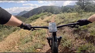 North Fork Trail Conifer