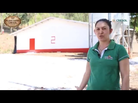 Transmissão ao vivo de TV Marreco Futsal