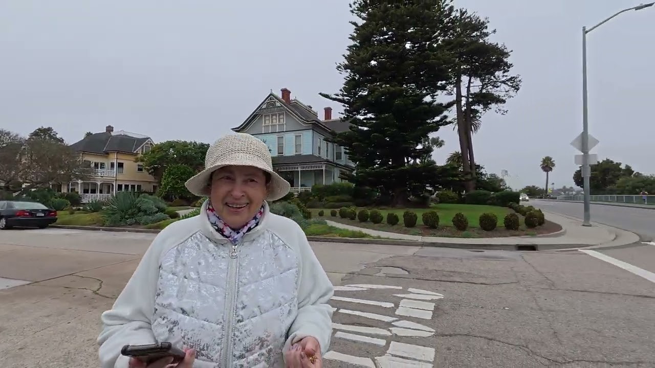 Ежики в тумане