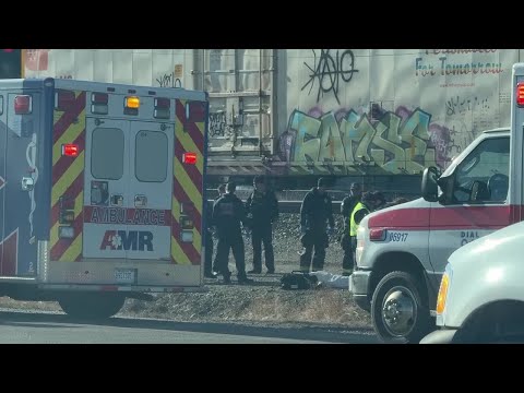 Witnesses recount 'scary' train-pedestrian accident near Laurel Road