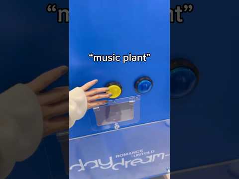渡韓中にENHYPENのpop-upとラキドロ巡り #enhypen #ラキドロ　#渡韓