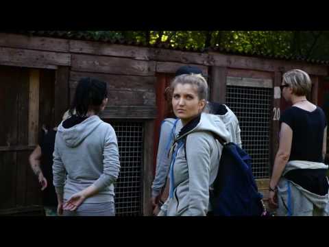 Euro Live Technologies Animal Shelter 2016