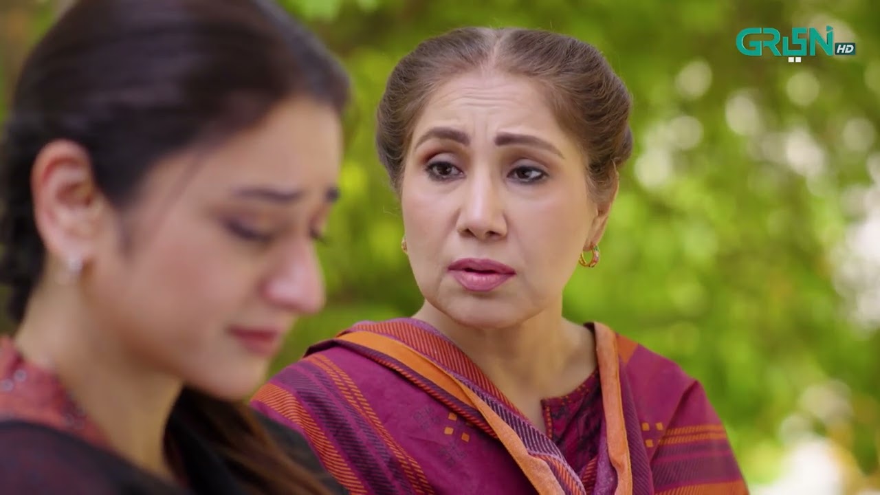 Aik Bhool Episode 49 | Best Scene 01 | Green TV Entertainment