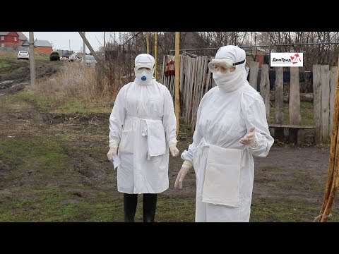 В УЛЬЯНОВСКОЙ ОБЛАСТИ НА ПРИНУДИТЕЛЬНУЮ САМОИЗОЛЯЦИЮ ОТПРАВИЛИ ЦЕЛУЮ СЕМЬЮ