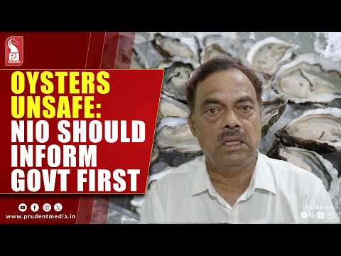 Govt Awaits Official NIO Report Before Acting On Oyster Contamination Findings