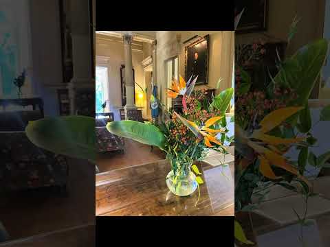 Conociendo Villa Ocampo , ubicada en Beccar