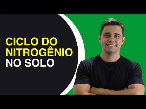 Ciclo do nitrogênio no solo  | Daniel Scotá - AgricOnline