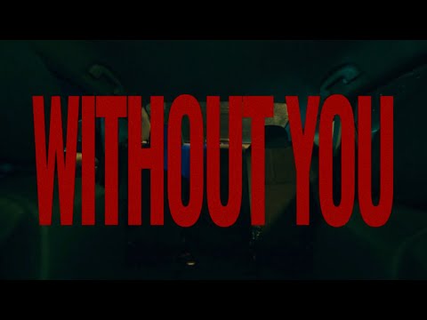 dav!d - without you (Official Music Video)