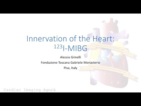 Innervation of the Heart: 123I-MIBG