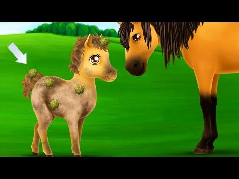Fun Animal Horse Care Kids Game - Princess Horse Club 3 - Magical Horses Makeover, Royal Wedding