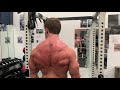 Barbell shrugs (back exercise)