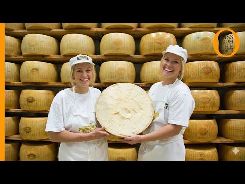 How Italian Parmesan Wheel of Cheese Is Made King of Cheese 1000$ per Wheel Making in Factory