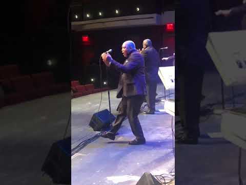 The Softones (Live 2019)