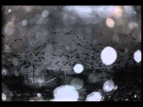 Øystein Jørgensen - Sadness sea