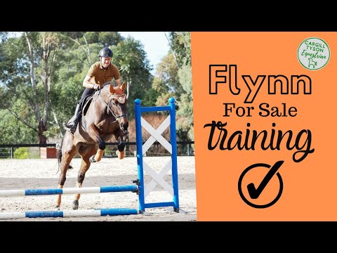 FLYNN - FOR SALE 7k NEG - TRAINING VIDEO