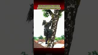 Download lagu KAMUFLASE TINGGI TINGGI KAWAL PRESIDEN #sniper #ai  #paspampres #hiburan #siap55 mp3