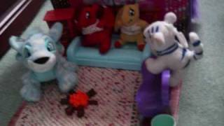 The Shoyru Twins Show!