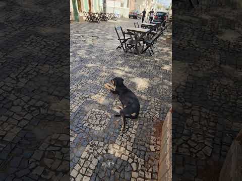 Campos Gerais MG - Passeio da Rota 408 #cidadesdobrasil