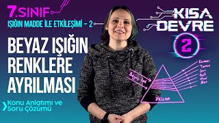 7. Sınıf Fen Bilimleri: Beyaz Işık, Newton Renk Çarkı | Esra Çevik Öğüt | Lightboard ile Ders #2