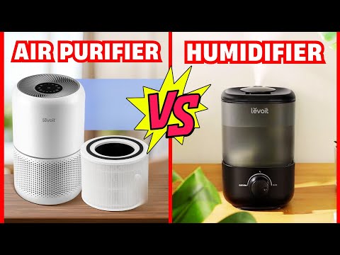 Air Purifier vs Humidifier – What Actually Works Best in Winter!