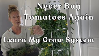 Forever #tomatoes in Your #towergarden #verticalgardening Learn My Grow System #garden