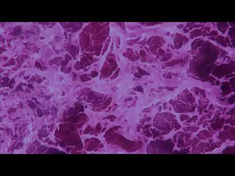 Video thumbnail for Ocean