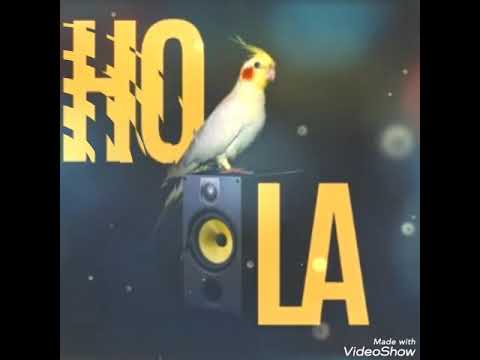 Ti Killa Stylz - New Gyal_Riddim by Nacho Beatmaker bmk[ SUBSCRIBE NOW ]