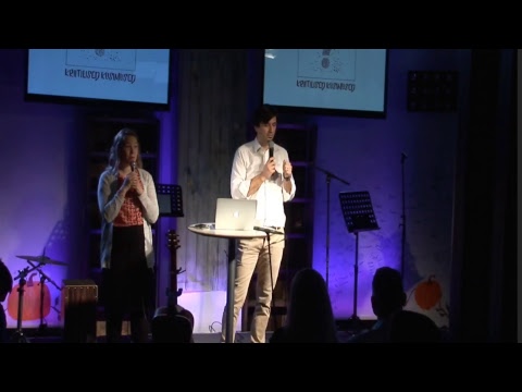 Kriitilised küsimused - Theodor Bunescu - 12.11.2017