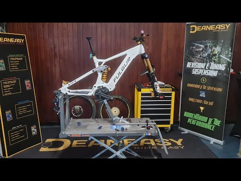 FULGUR MULA 880 CUSTOM- Powered by DEANEASY