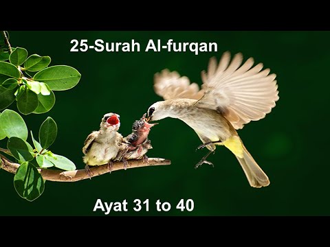 |Surah al furqan|Surah Furqan|surat furqan|Ayat 31 to 40|by Sayed Saleem|