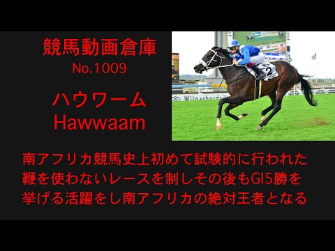 【競馬】ハウワーム　Hawwaam【No 1009】