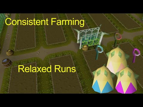 Practically Guaranteed - Tithe Farm