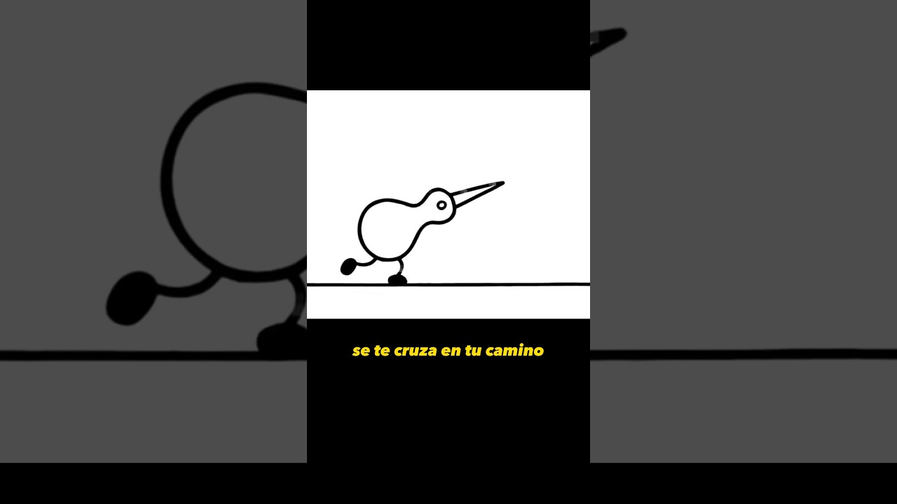 Claudia Andrea Farias Hidalgo-5