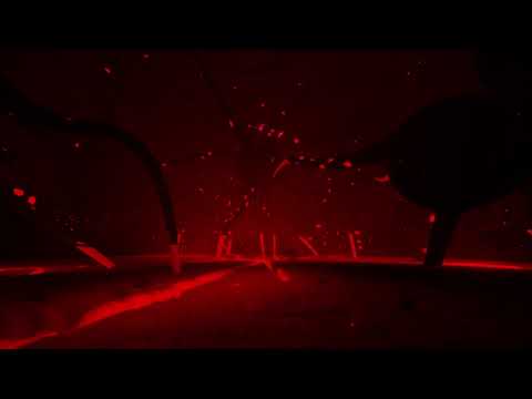 Log 10 3390.04.12 Twisted roots