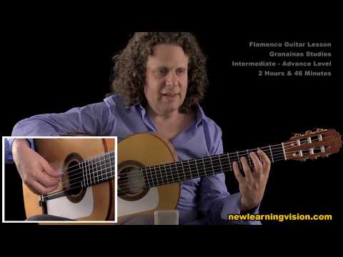 Demo of Flamenco Guitar Lesson. Granainas Studies by Adam del Monte
